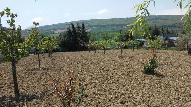 imagen 1 de Venta de finca de recreo en Labiano