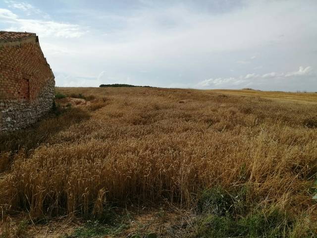 imagen 1 de Venta de Finca en Mendavia