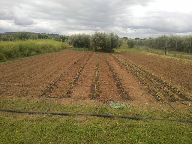 imagen 1 de Venta de terreno ocio y recreo en san Martin de Unx