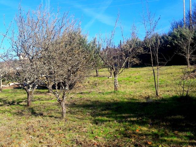 imagen 1 de Venta de finca junto al rio Segaseta