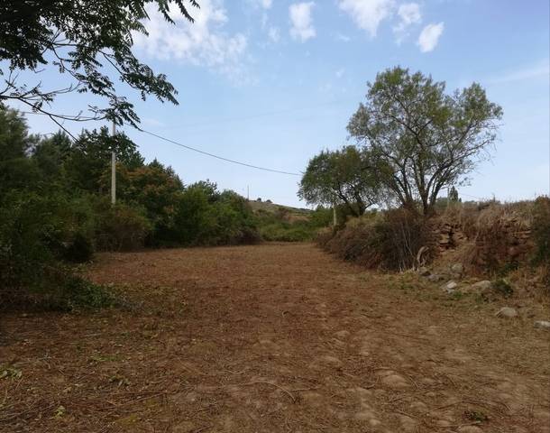 imagen 1 de Venta de finca de recreo Pamplona