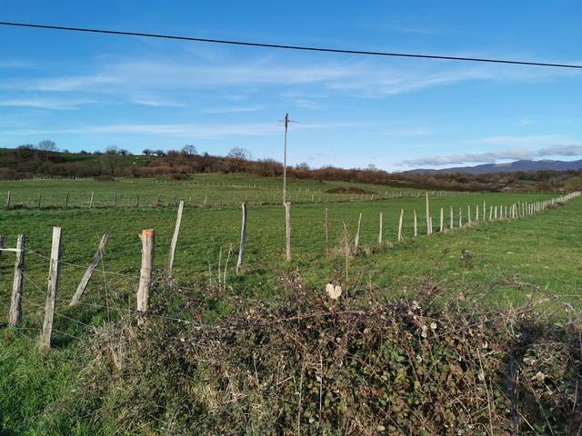 imagen 1 de Venta de finca rustica vallada