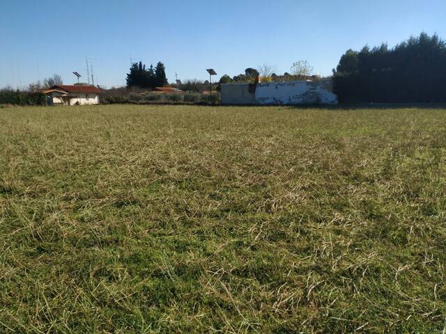 imagen 1 de Parcela de recfreo