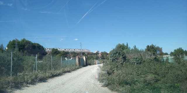 imagen 1 de Venta de tierra de labor