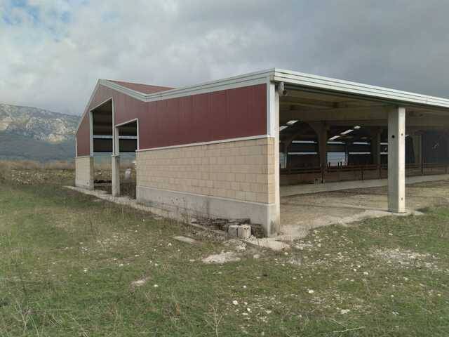 imagen 1 de finca rustica con nave para ganado