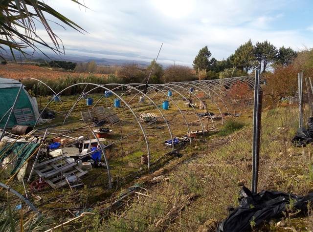 imagen 1 de Venta de finca con pabellón en Leza