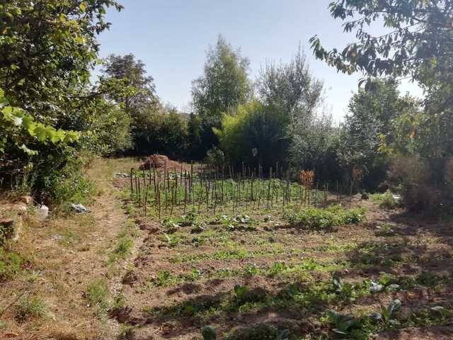 imagen 1 de Venta de terreno rústico con arroyo en Pobes