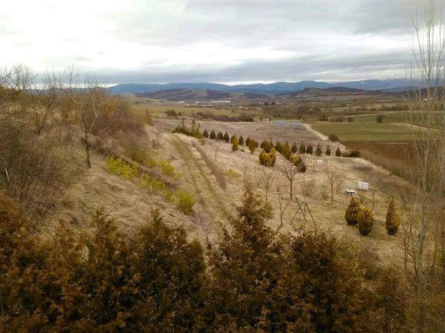imagen 1 de Venta de finca ecológica en Gauna