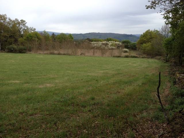 imagen 1 de Se vende finca totalmente llana en A Peroxa