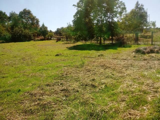 imagen 1 de Se vende terreno en Celanova