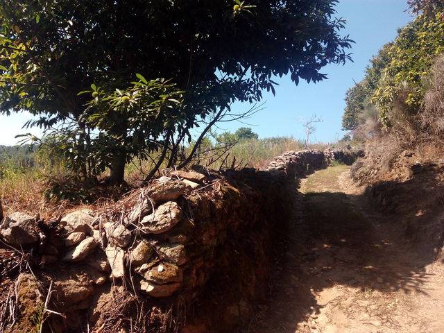 imagen 1 de Se vende finca de labor en A pobra de Tives