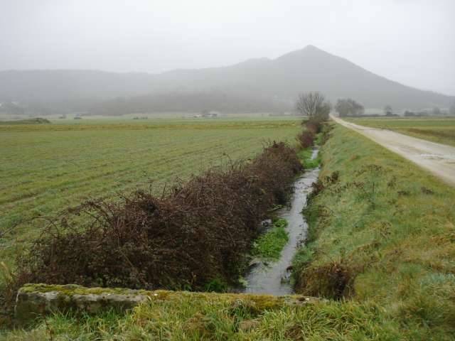 imagen 1 de Se venda tierra de labor en Mosteiro
