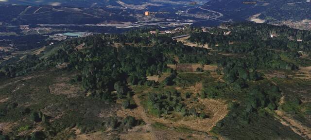 imagen 1 de Finca en Trasalba en venta