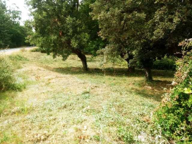 imagen 1 de Vendo terreno en Paderne de Allariz