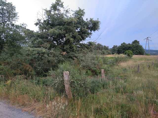 imagen 1 de Venta de terreno