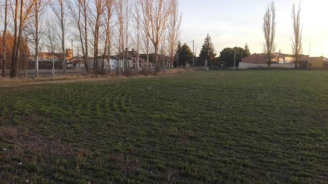 imagen 1 de Venta de terreno en Piña de Campos (Palencia)