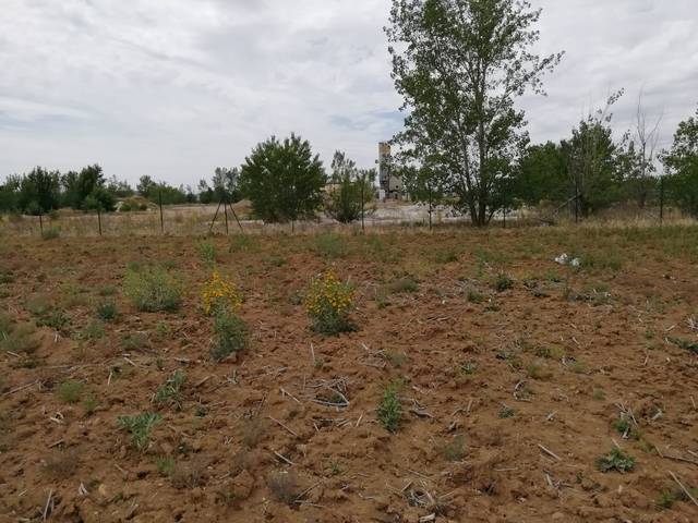 imagen 1 de Venta de finca en Dueñas con buen acceso