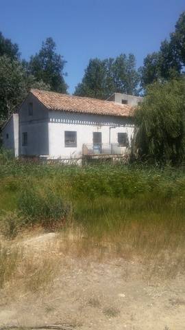 imagen 1 de Vendo Molino en Carrión de los Condes