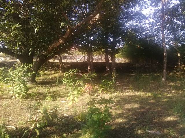 imagen 1 de Venta de finca en Ponte Caldelas (Pontevedra)