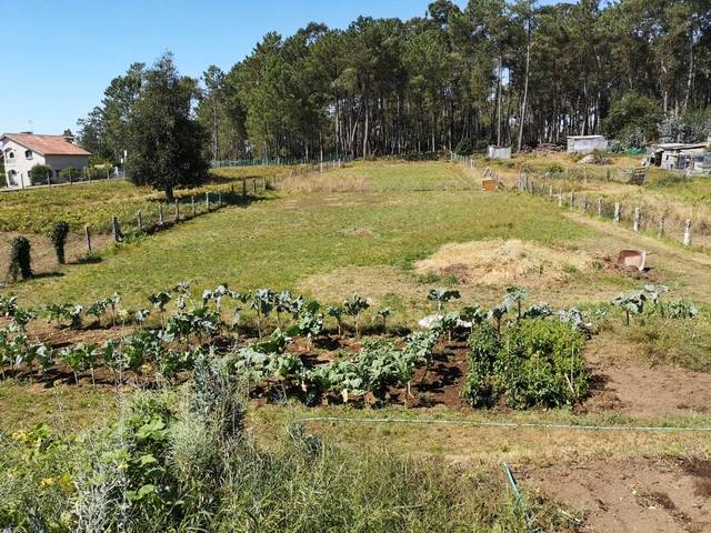 imagen 1 de Venta de finca con horreo en Gondomar (Pontevedra)