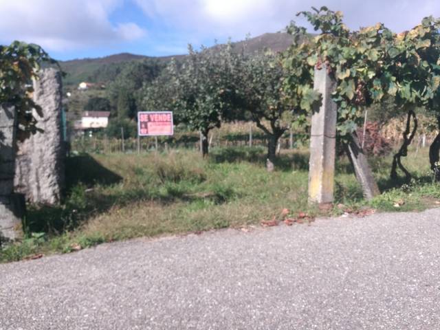 imagen 1 de Venta de finca rústica en Ponteareas (Pontevedra)