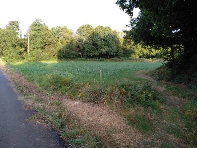 imagen 1 de Venta de finca en Silleda (Pontevedra)