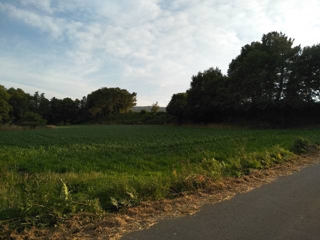 imagen 1 de Venta de finca en Silleda (Pontevedra)