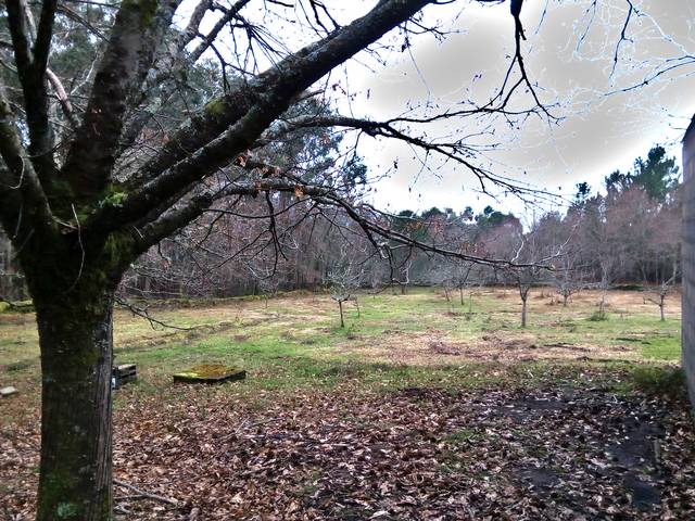 imagen 1 de Venta de finca en Lamosa (Pontevedra)