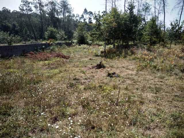 imagen 1 de Venta de terreno en Torroso (Pontevedra)