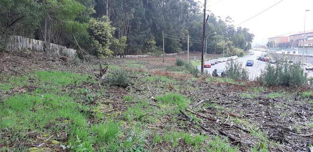 imagen 1 de Venta de terreno en A Guarda (Pontevedra)