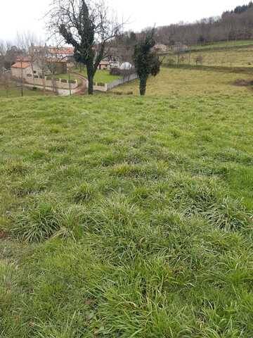 imagen 1 de Venta de preciosa finca en Silleda (Pontevedra)