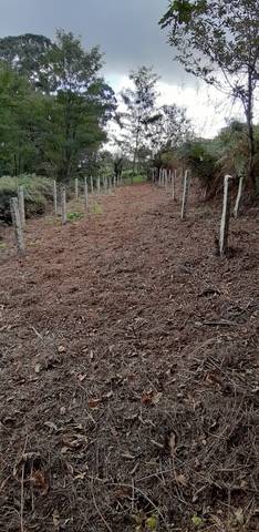 imagen 1 de Venta de parcela en  Mos (Pontevedra)