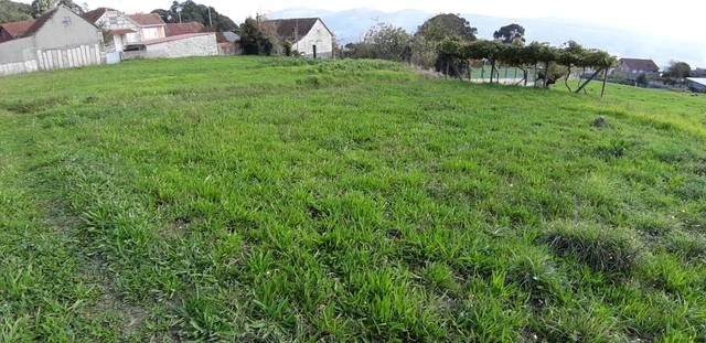 imagen 1 de Venta de terreno con viña en Mos (Pontevedra)