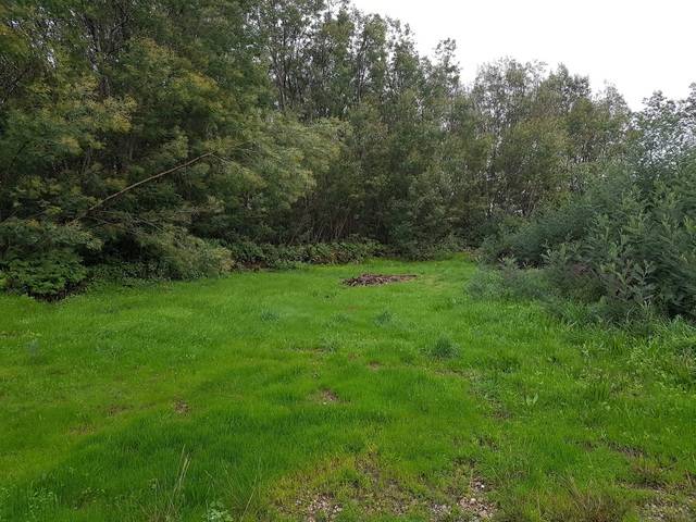 imagen 1 de Venta de parcela con buen acceso en Catoira (Pontevedra)
