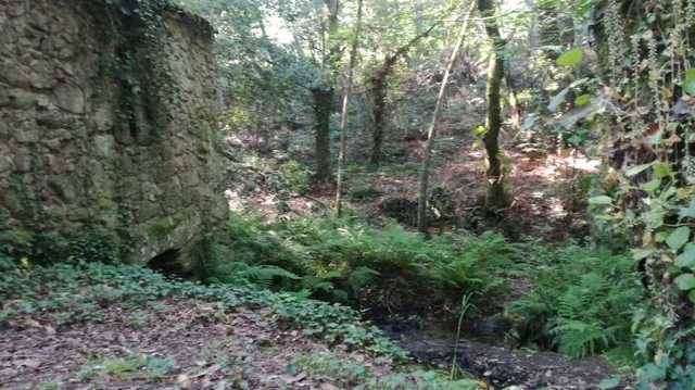 imagen 1 de Venta de monte en Nigrán (Pontevedra)