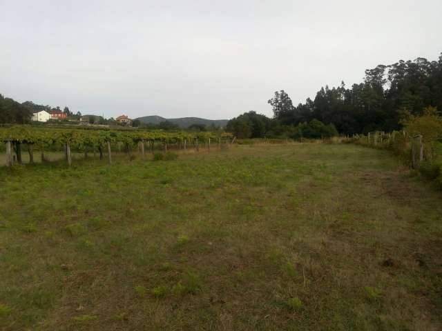 imagen 1 de Venta de finca urbanizable en O Silvoso