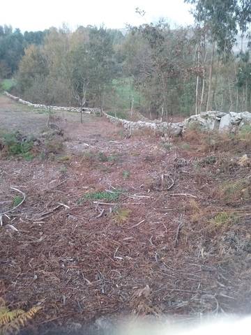 imagen 1 de Venta de finca en Mondariz (Pontevedra)