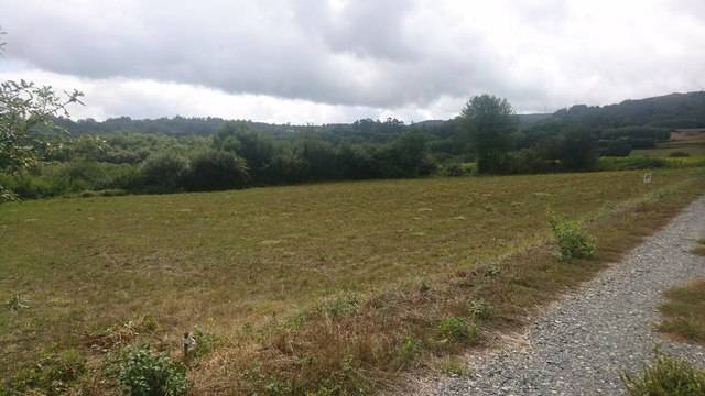 imagen 1 de Venta de fincas llanas y con buen acceso en Cervaña