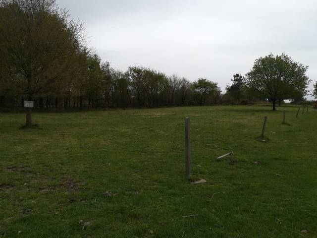 imagen 1 de Venta de terreno en Lalin
