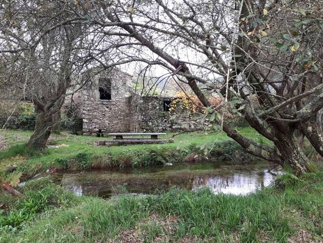 imagen 1 de Venta de finca especial, con Molino y aserradero en O Rosal