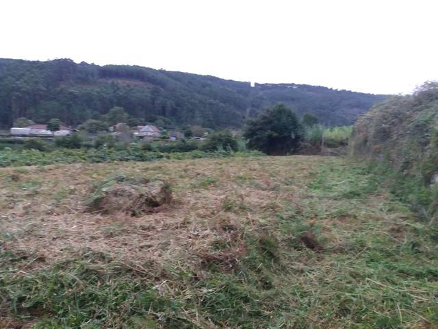 imagen 1 de Venta de terreno llano con manantial en Tomiño