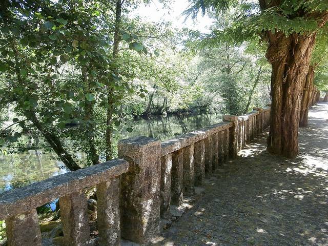 imagen 1 de Venta de espectacular finca en Mondariz (Pontevedra)