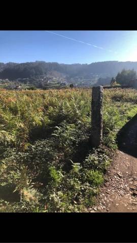 imagen 1 de Venta de finca en Marin (Pontevedra)