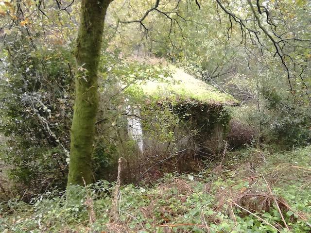 imagen 1 de Venta de finca no edificable en Meis (Pontevedra)