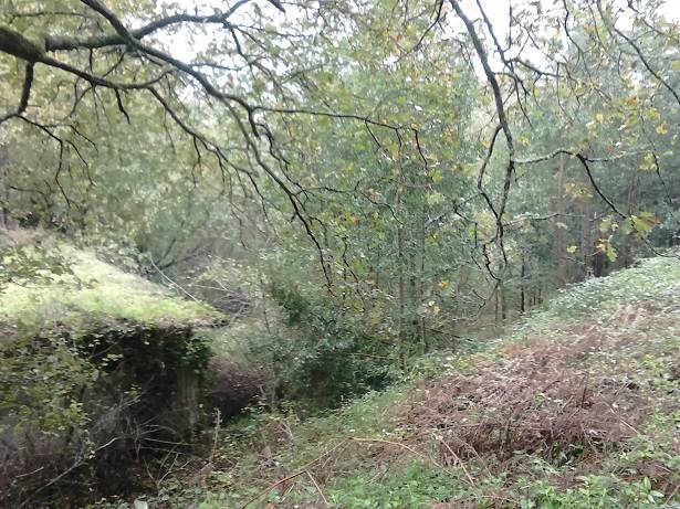 imagen 1 de Venta de finca no edificable en Meis (Pontevedra)