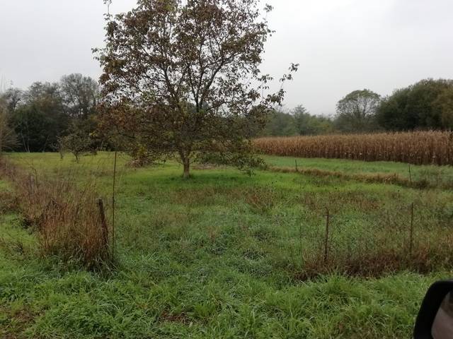 imagen 1 de Venta de terreno rústioc en O Porriño (Pontevedra)