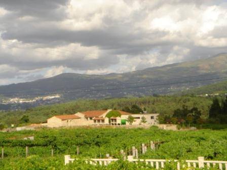 imagen 1 de Venta de finca exclusiva en Arbo (Pontevedra)