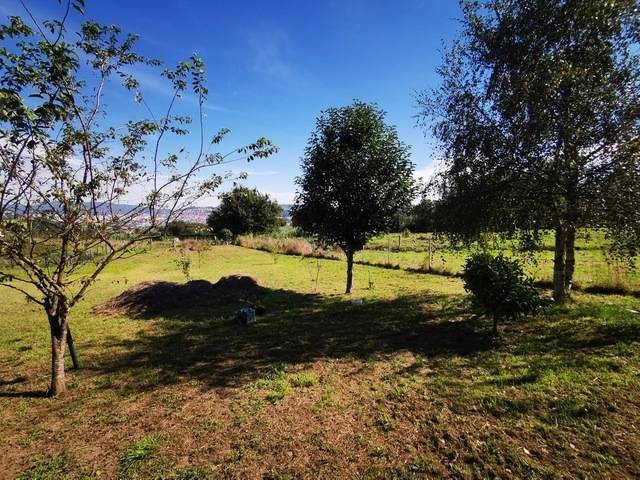 imagen 1 de Venta de finca vallada en Beade