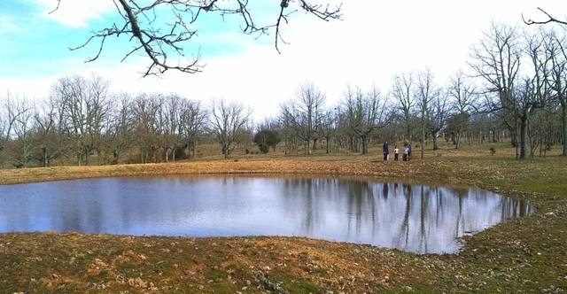 imagen 1 de Venta de preciosa finca en Peralejos de Arriba (Salamanca)