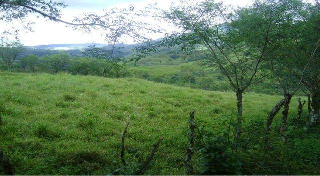 imagen 1 de Venta de finca de regadío y robledal en Béjar